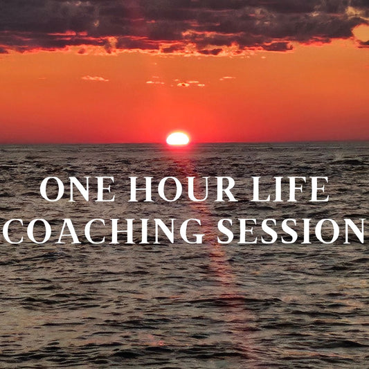 One Hour LIfe Coaching Session